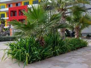 Первоклассный жилой и отельный комплекс The Heart of Europe от Kleindienst Group на островах, The World Islands, Дубай, ОАЭ